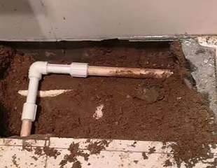 左权测漏水哪家好