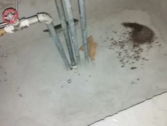 左权卫生间测漏水价格明细