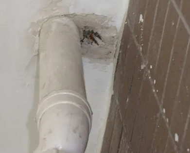 左权漏水检测哪家好